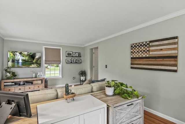 188 Munger Hill Rd, Westfield, MA 01085 - living area featuring crown molding, baseboards, and wood finished floors