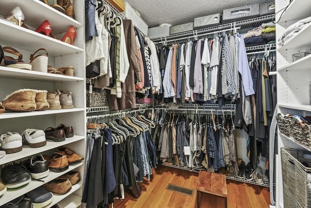 188 Munger Hill Rd, Westfield, MA 01085 - spacious closet with wood finished floors