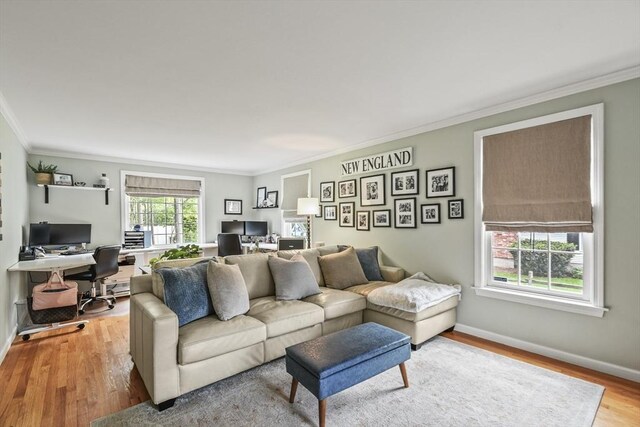 188 Munger Hill Rd, Westfield, MA 01085 - living room with a desk, crown molding, wood finished floors, and baseboards