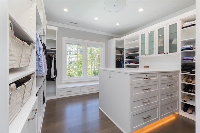 8 Hidden Rd, Weston, MA 02493 - walk in closet with dark wood-type flooring