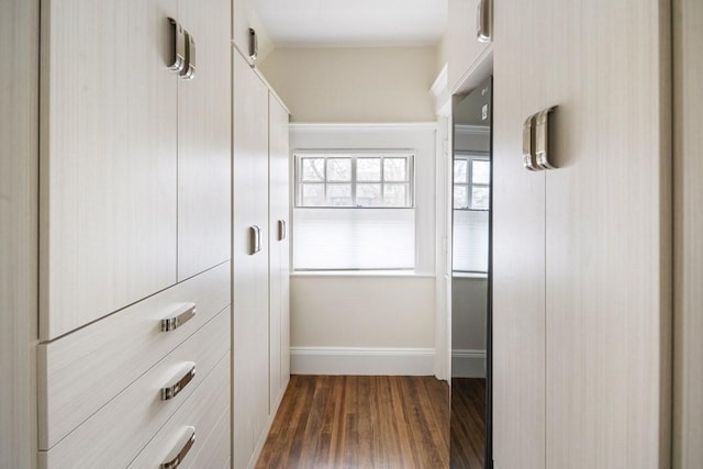 walk in closet with dark wood-type flooring