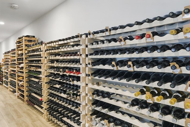 wine area with light wood-style floors