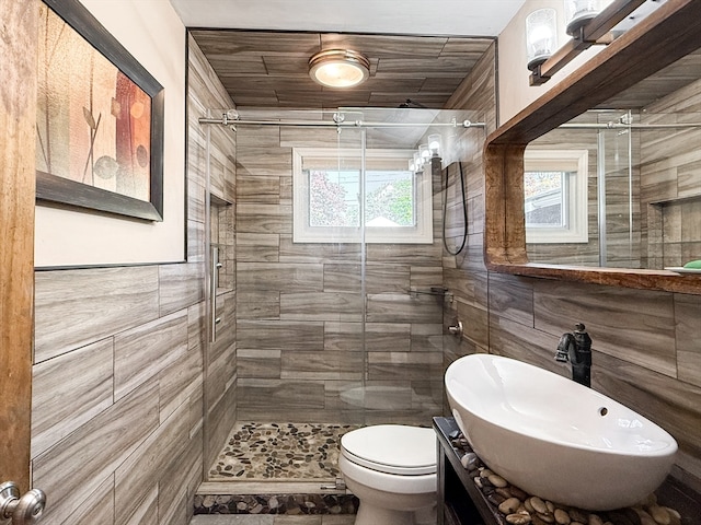 bathroom featuring vanity, toilet, and walk in shower