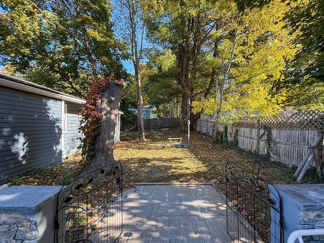 view of yard with a patio area