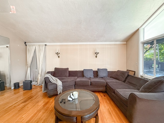 living room featuring lofted ceiling, a textured ceiling, and hardwood / wood-style flooring