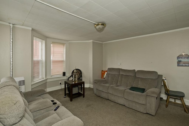 74 Everett St, Springfield, MA 01104 - carpeted living area with crown molding and baseboards