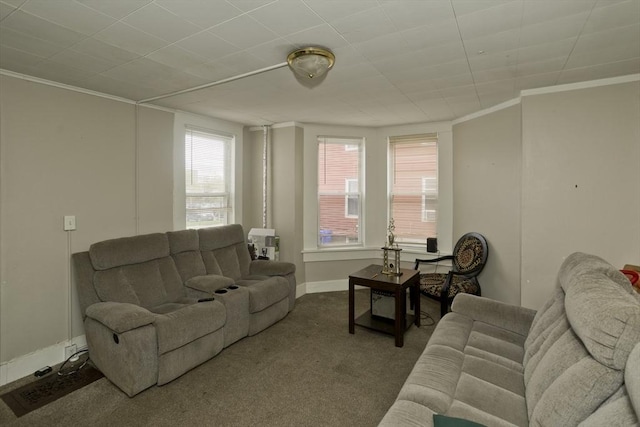 74 Everett St, Springfield, MA 01104 - living room with baseboards, ornamental molding, and carpet flooring