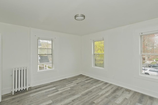 74 Everett St, Springfield, MA 01104 - unfurnished room with radiator heating unit, baseboards, light wood-style floors, and a wealth of natural light