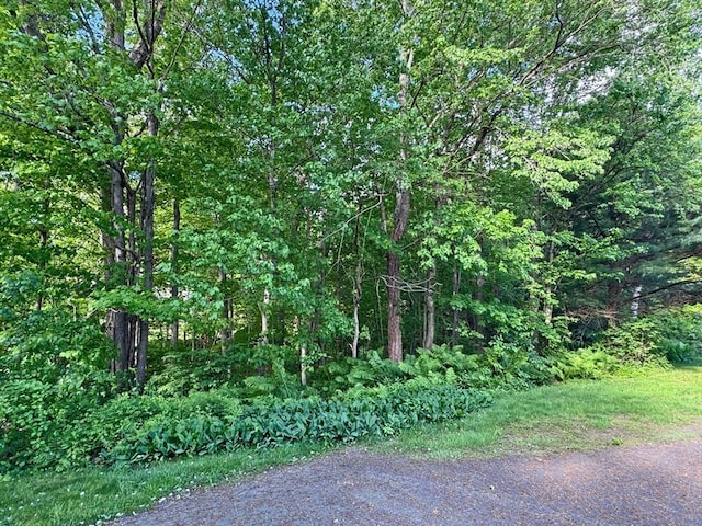 486 Turners Falls Rd, Montague, MA 01351 - view of road with a view of trees