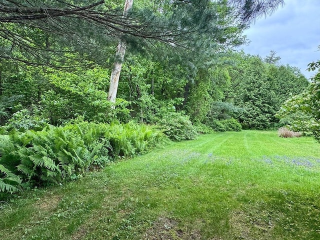 486 Turners Falls Rd, Montague, MA 01351 - view of grassy yard featuring a wooded view