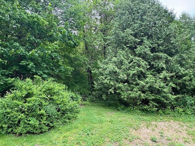 486 Turners Falls Rd, Montague, MA 01351 - view of tree filled area