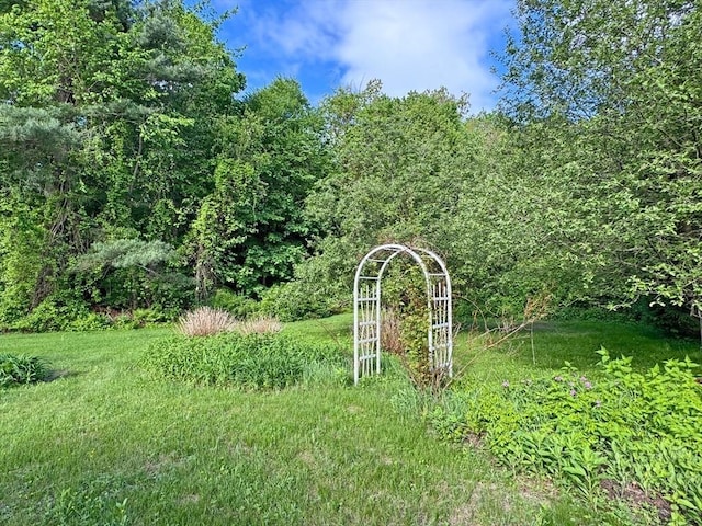 486 Turners Falls Rd, Montague, MA 01351 - view of yard featuring a forest view