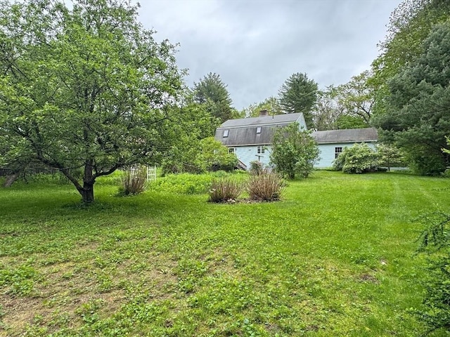 486 Turners Falls Rd, Montague, MA 01351 - view of green lawn