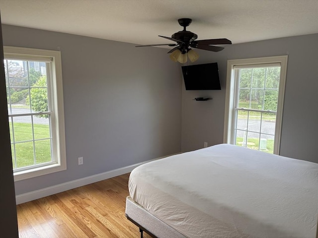43 Caddyshack Dr, Chicopee, MA 01020 - bedroom with multiple windows, light wood-type flooring, and a ceiling fan