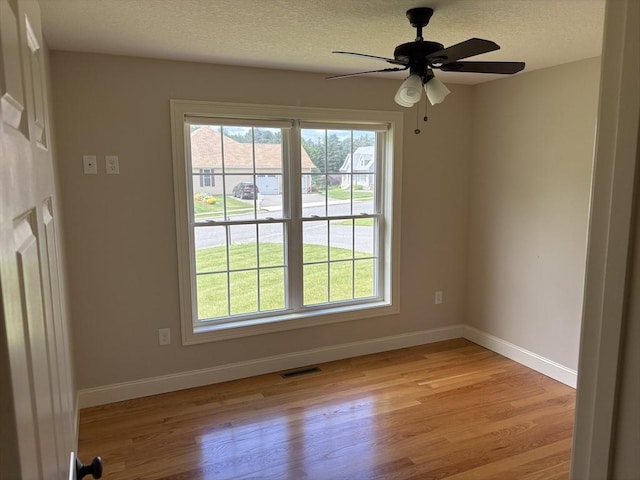 43 Caddyshack Dr, Chicopee, MA 01020 - empty room featuring healthy amount of natural light, light wood-style flooring, a ceiling fan, and a textured ceiling