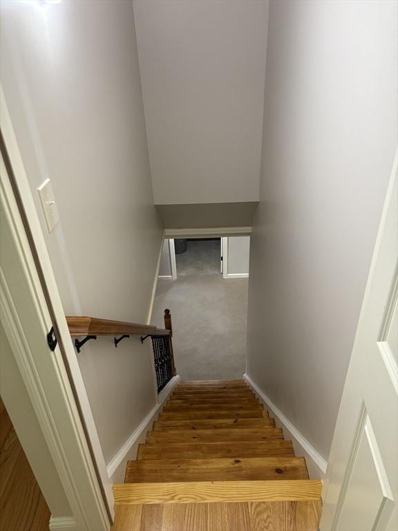 43 Caddyshack Dr, Chicopee, MA 01020 - stairs featuring baseboards and carpet flooring