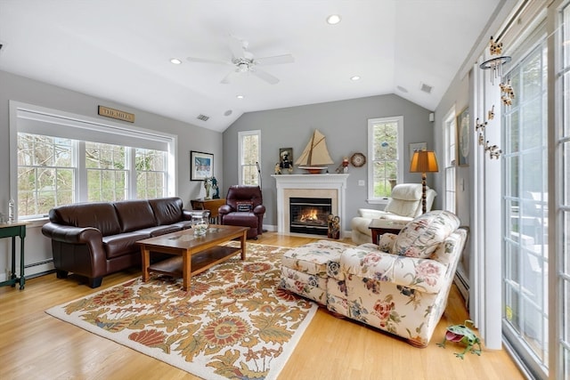 living room featuring a healthy amount of sunlight, light hardwood / wood-style flooring, and a fireplace