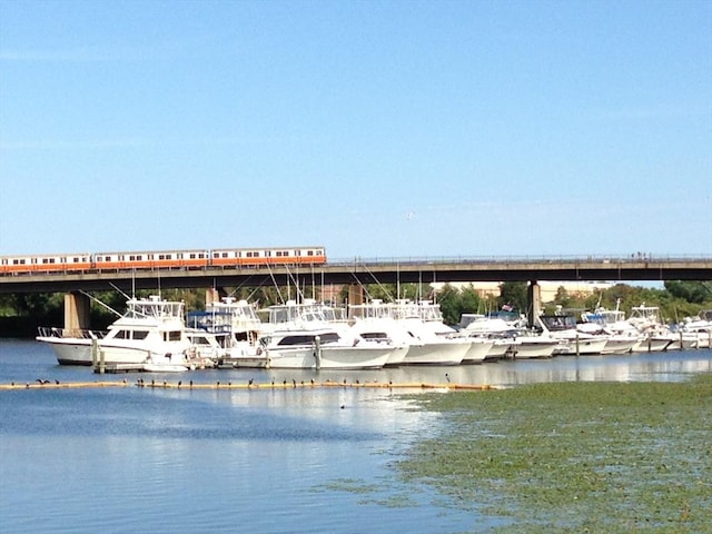view of water feature featuring a dock