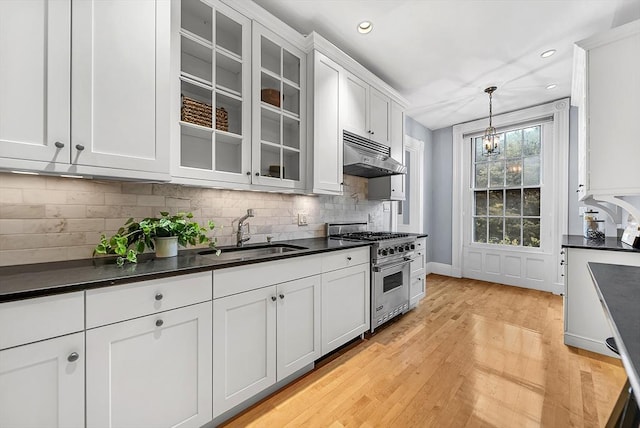 318 Commonwealth Ave Unit 3, Boston, MA 02115 - kitchen featuring premium range, under cabinet range hood, dark countertops, light wood-style flooring, and backsplash