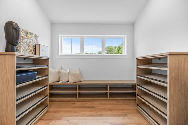 1 Maud Graham Cir, Burlington, MA 01803 - view of storage