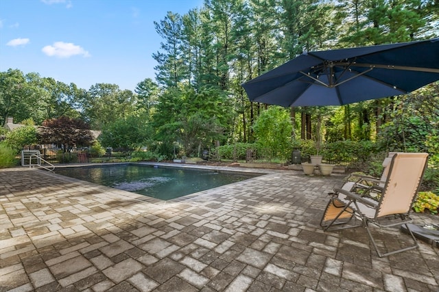 view of pool featuring a patio area