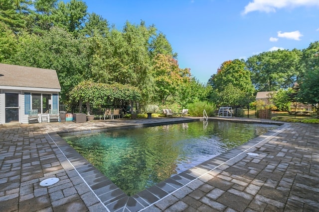 view of pool with a patio area