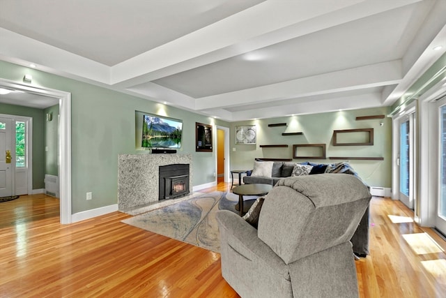 living room featuring light hardwood / wood-style floors, a wood stove, and a baseboard radiator