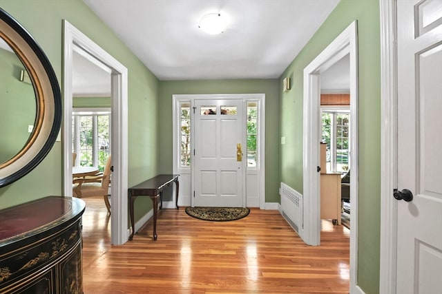 foyer with light wood-type flooring and plenty of natural light