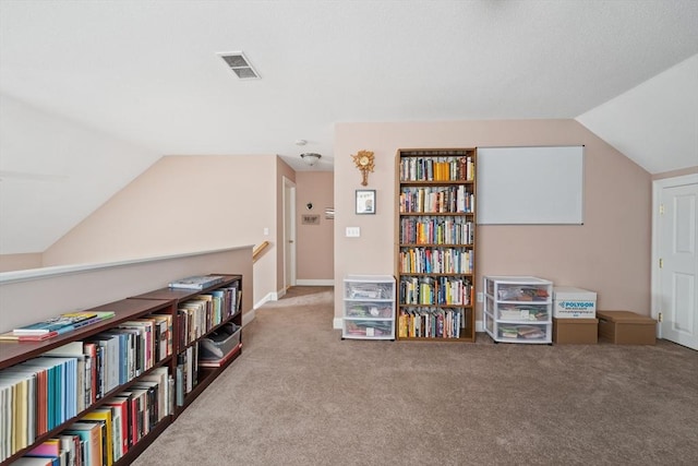 49 Camden St Unit 49, South Hadley, MA 01075 - living area featuring lofted ceiling and carpet floors