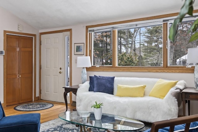 living room featuring vaulted ceiling, plenty of natural light, and wood finished floors