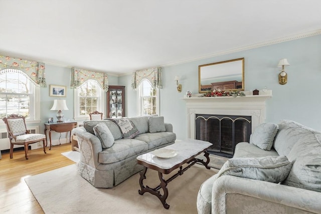 living room featuring crown molding and light hardwood / wood-style flooring