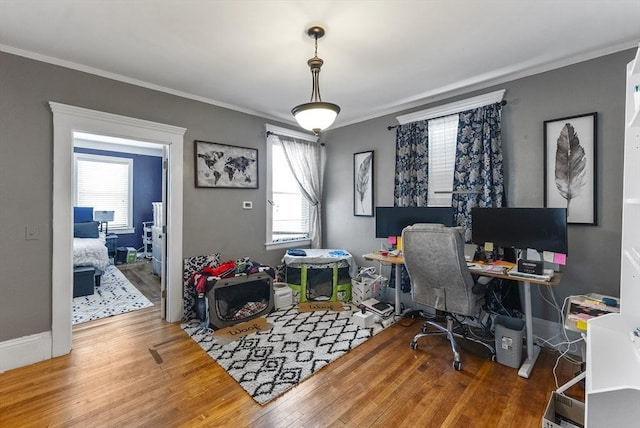 office space with ornamental molding and hardwood / wood-style floors