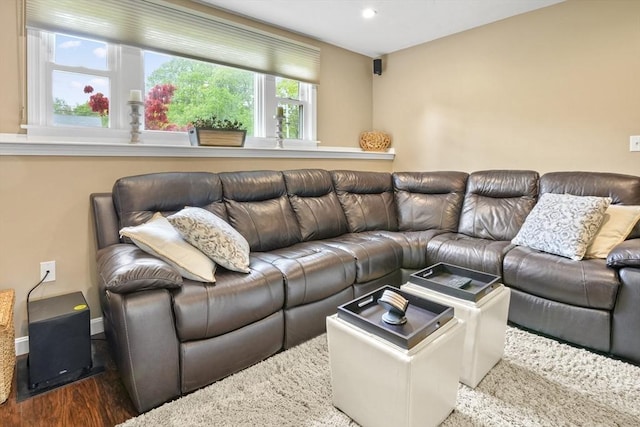 living area featuring wood finished floors and recessed lighting