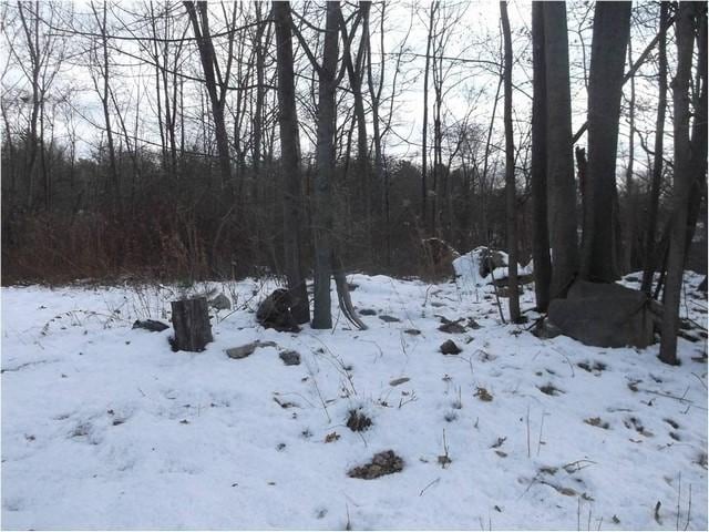 116 Winter St, Framingham MA, 01702 land for sale