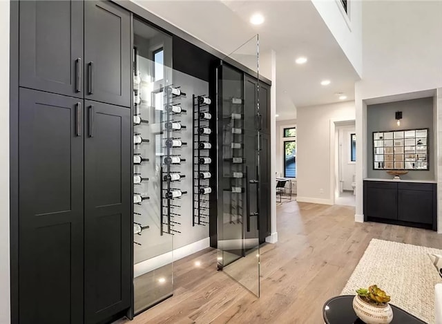 wine room with light hardwood / wood-style floors