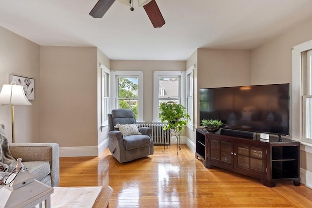 20 Walden St, Lowell, MA 01851 - living area with healthy amount of natural light, light wood-type flooring, a ceiling fan, and baseboards