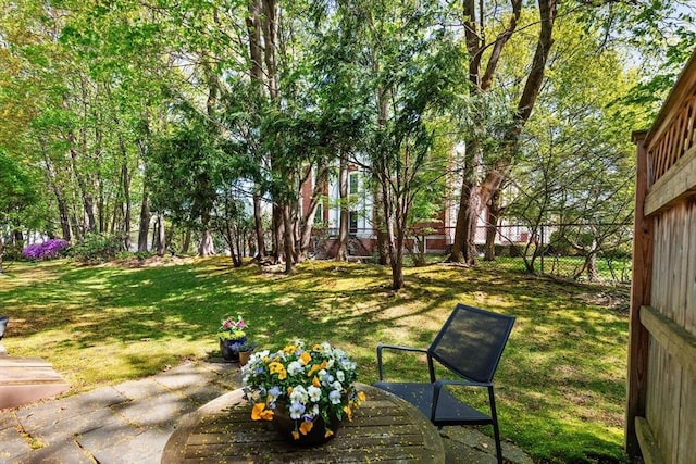 view of yard with fence and a patio area