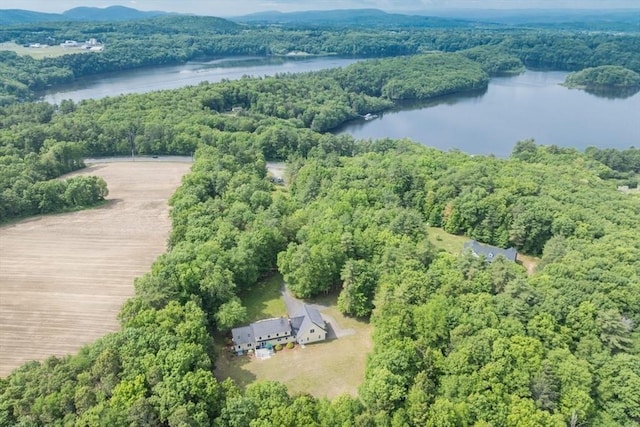 137 French King Hwy, Gill, MA 01354 - bird's eye view of a nearby body of water and a forest