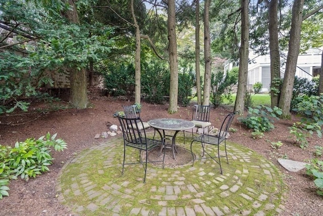 view of yard featuring a patio