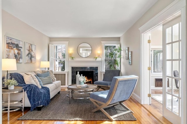 living area featuring light wood-type flooring, baseboards, and a premium fireplace