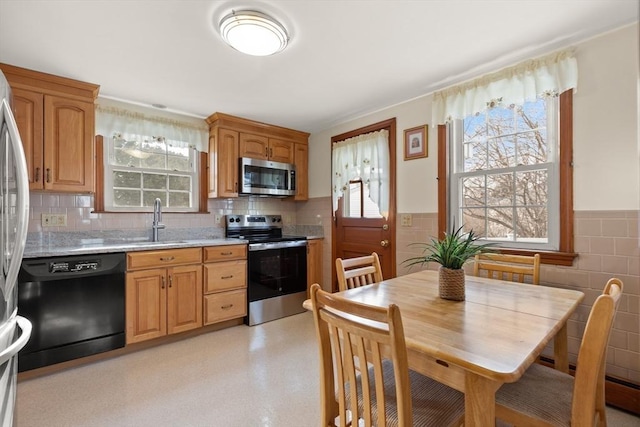 kitchen featuring stainless steel appliances, a sink, and wainscoting