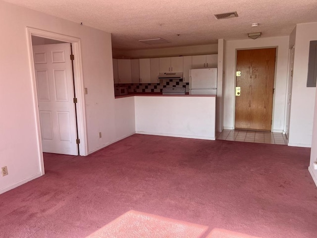 24 Corey St Unit 305, Everett, MA 02149 - unfurnished living room with carpet, a textured ceiling, and baseboards
