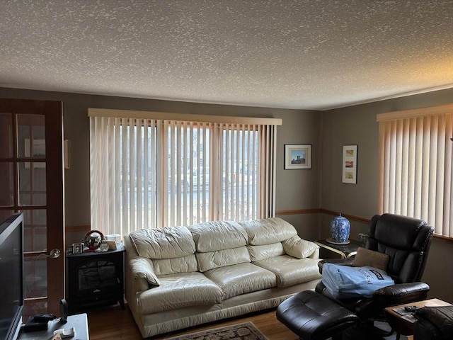 living room featuring wood-type flooring and a textured ceiling