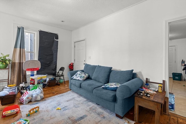 living room featuring hardwood / wood-style flooring and a textured ceiling