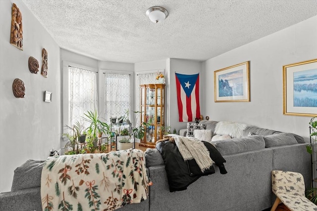 living room with a textured ceiling