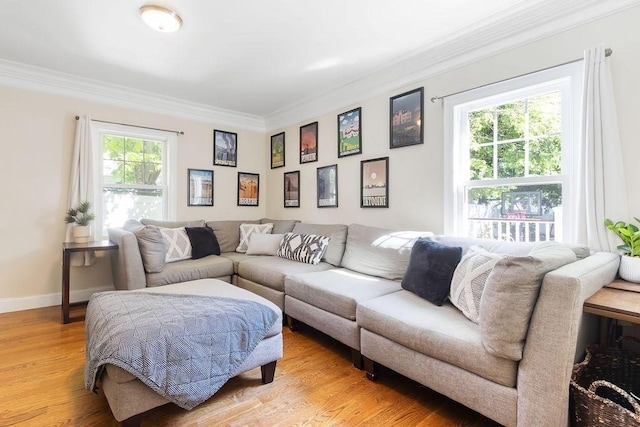 32 Jewett St, Boston, MA 02131 - living room with crown molding, healthy amount of natural light, baseboards, and light wood-style flooring