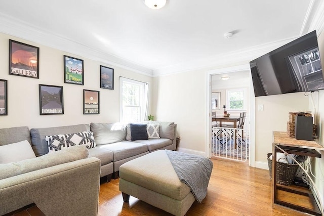 32 Jewett St, Boston, MA 02131 - living room featuring healthy amount of natural light, crown molding, light wood-type flooring, and baseboards