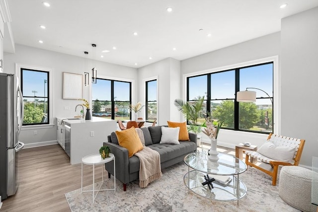 living room with light hardwood / wood-style floors and a wealth of natural light