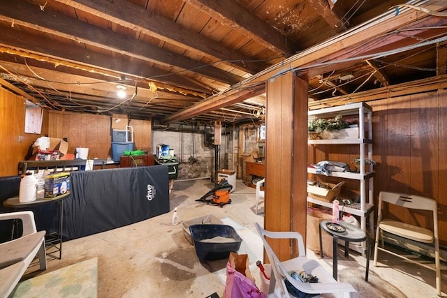 basement with wood walls