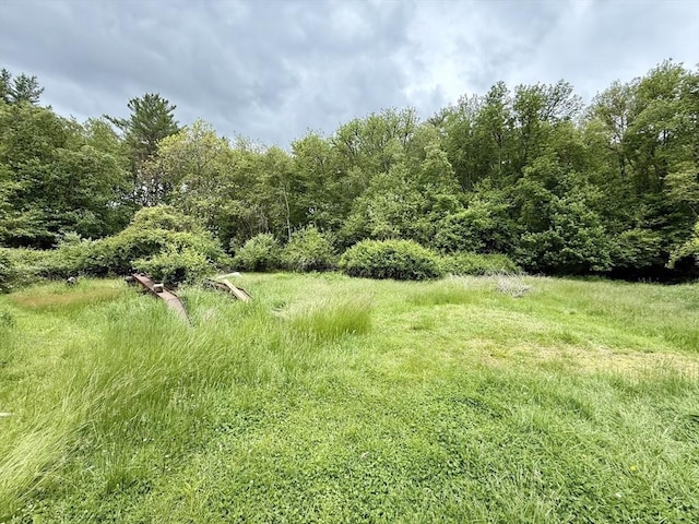 527 Collins Corner Rd, Dartmouth, MA 02747 - view of yard with a view of trees